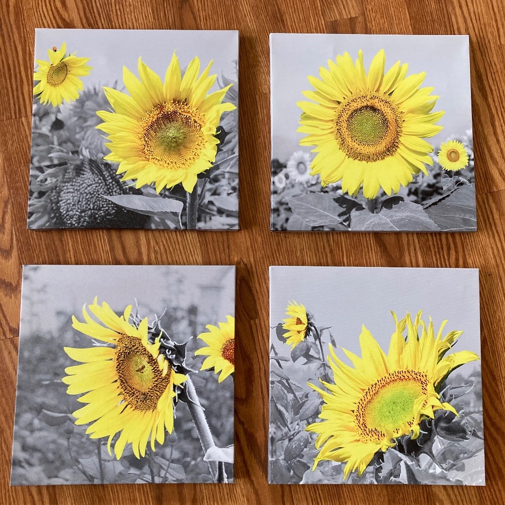 Sunflower Canvases